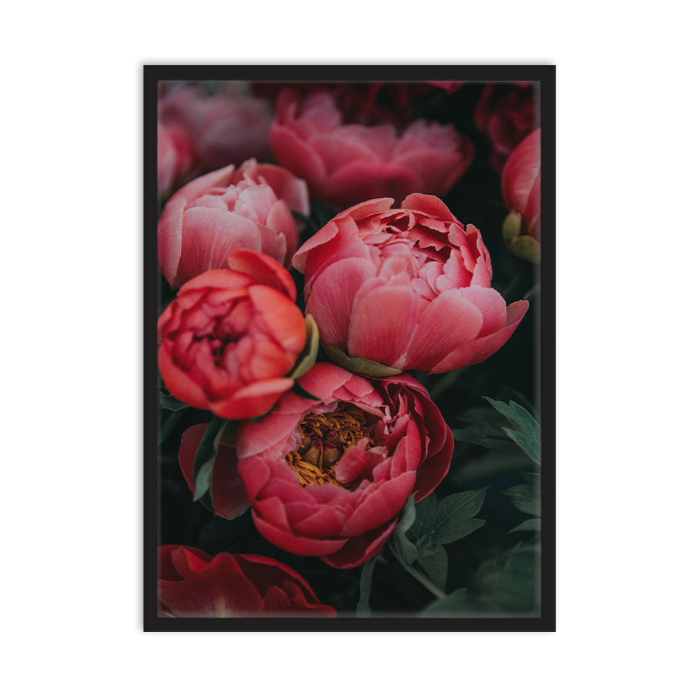 Flowers Posters