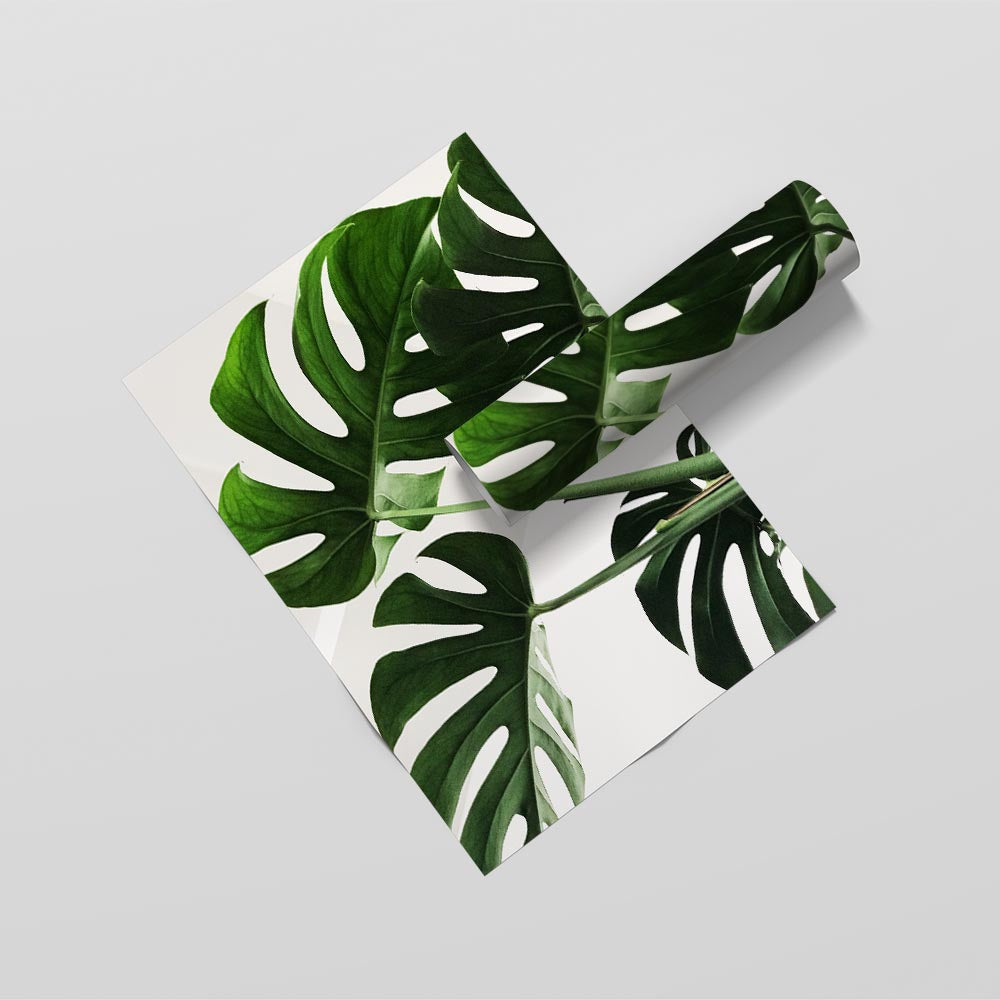 Tropical Leaves Poster