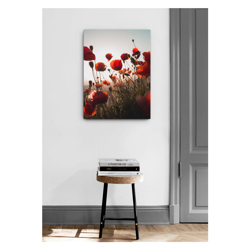 Velvet Voyage Canvas